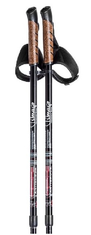 Kijki spacerowe, trekkingowe do nordic walking - dla aktywnego seniora - kolor: Czarny